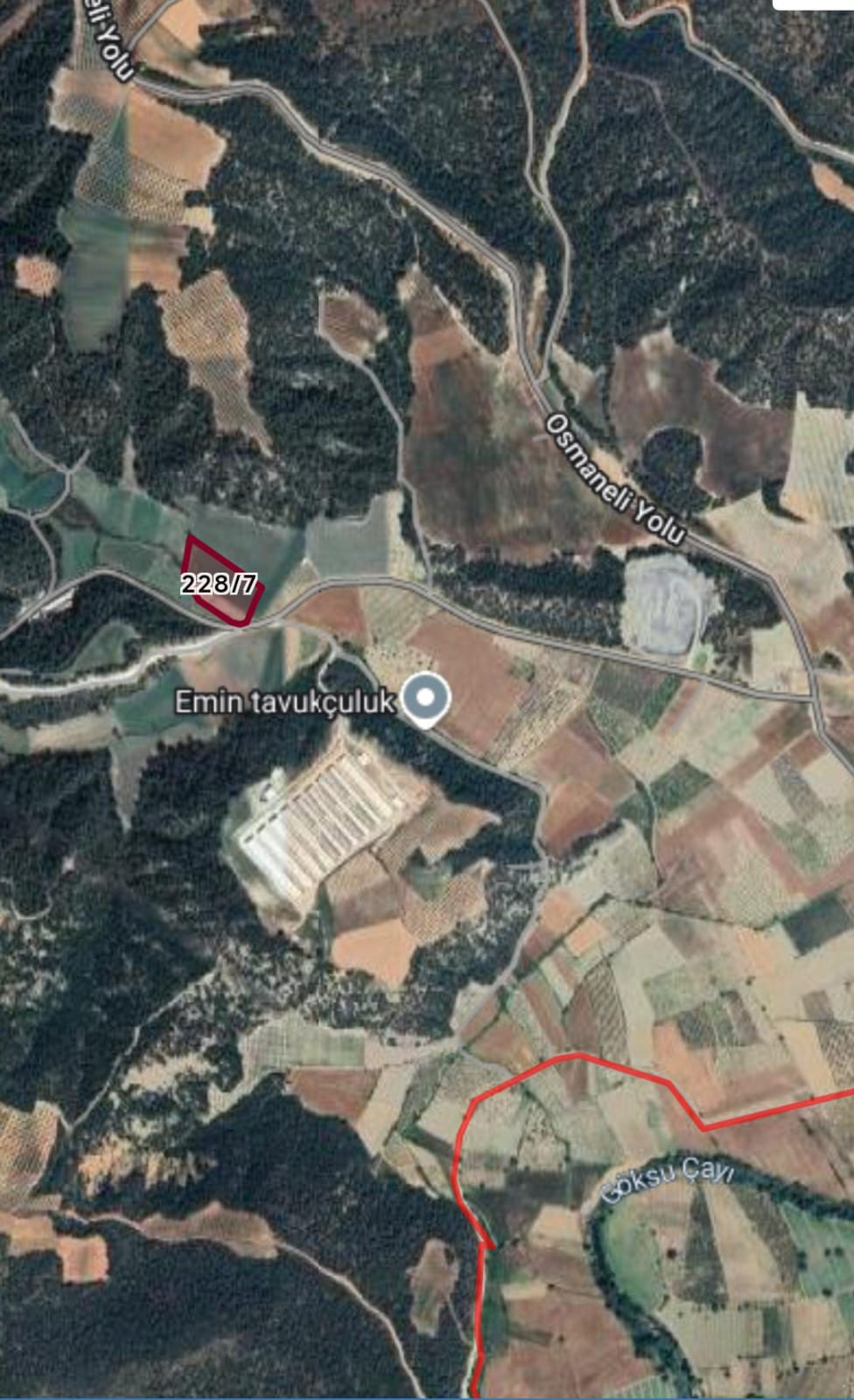 Fotoğraf